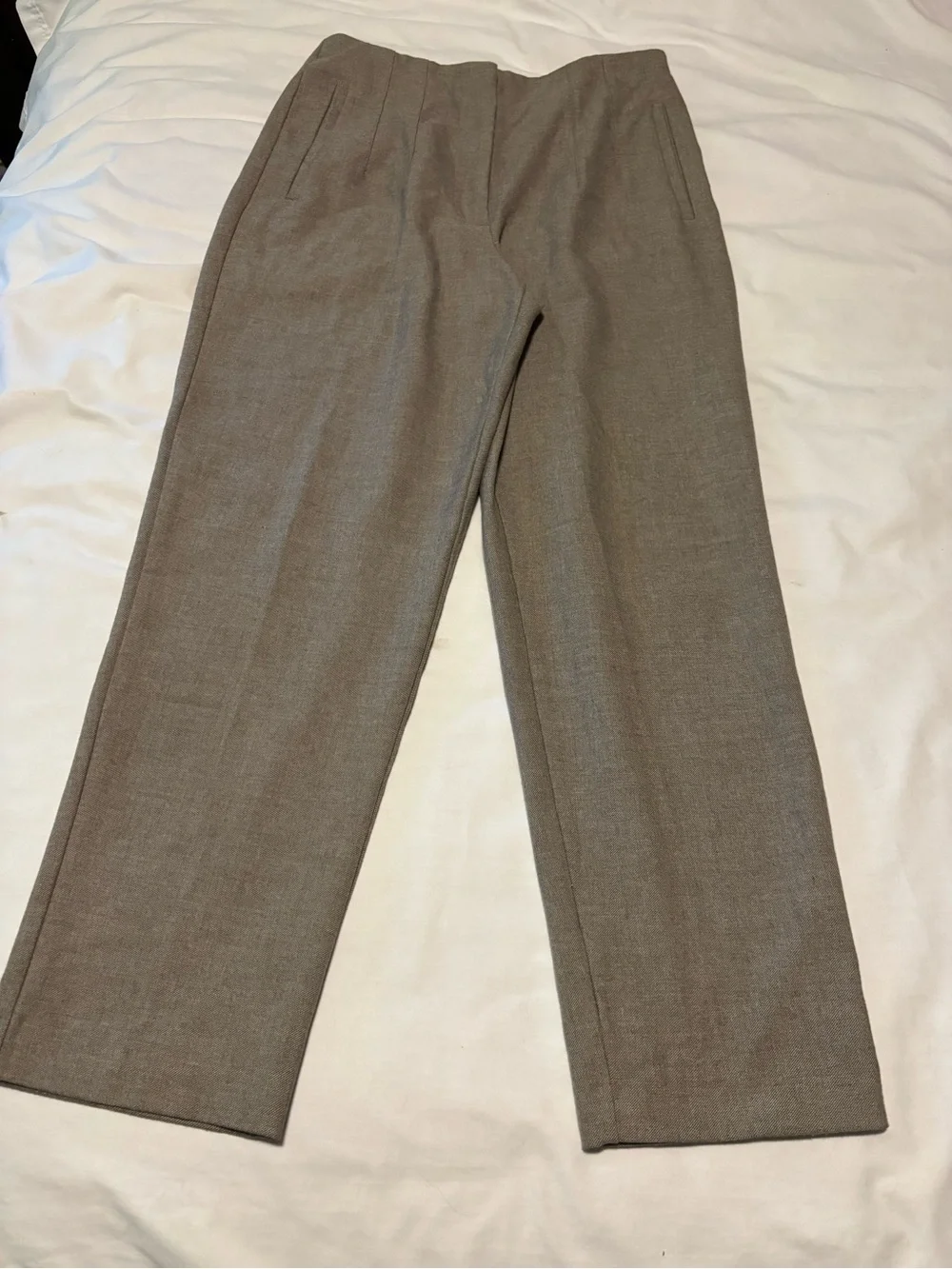 Zara Women’s Medium High Waisted Straight Leg Pleated Dress Pants Gray